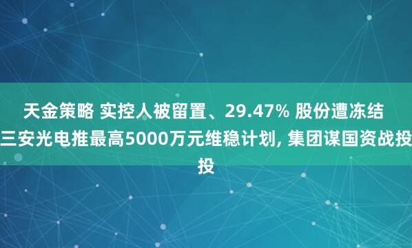 天金策略 实控人被留置、29.47% 股份遭冻结 三安光电推最高5000万元维稳计划, 集团谋国资战投
