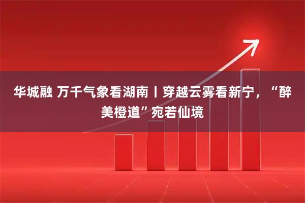 华城融 万千气象看湖南丨穿越云雾看新宁，“醉美橙道”宛若仙境