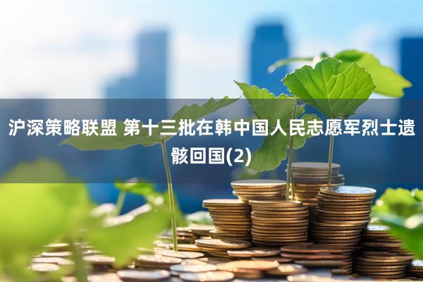 沪深策略联盟 第十三批在韩中国人民志愿军烈士遗骸回国(2)