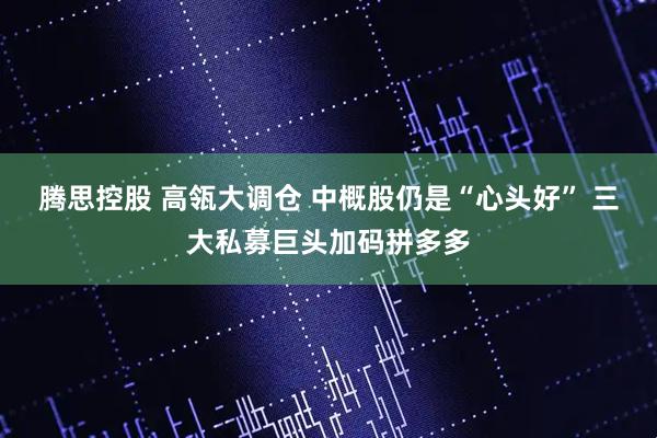 腾思控股 高瓴大调仓 中概股仍是“心头好” 三大私募巨头加码拼多多