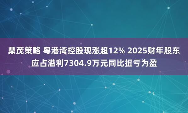 鼎茂策略 粤港湾控股现涨超12% 2025财年股东应占溢利7304.9万元同比扭亏为盈