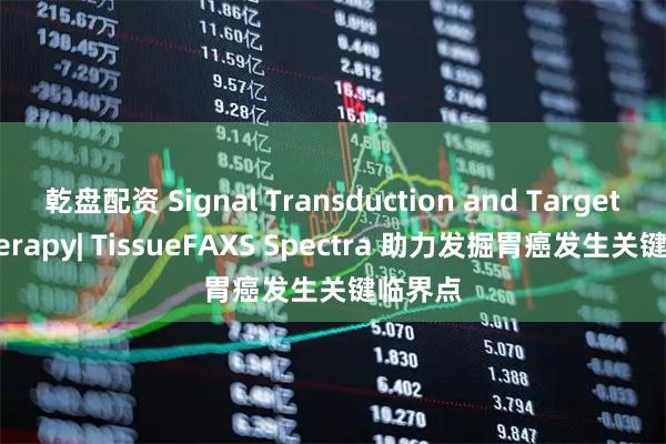 乾盘配资 Signal Transduction and Targeted Therapy| TissueFAXS Spectra 助力发掘胃癌发生关键临界点
