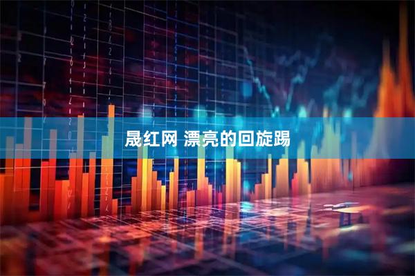 晟红网 漂亮的回旋踢