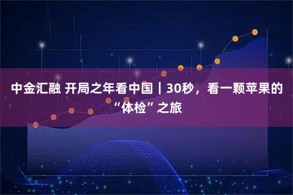 中金汇融 开局之年看中国｜30秒，看一颗苹果的“体检”之旅