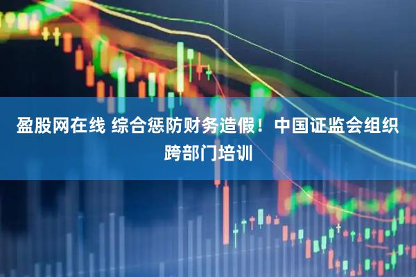 盈股网在线 综合惩防财务造假！中国证监会组织跨部门培训