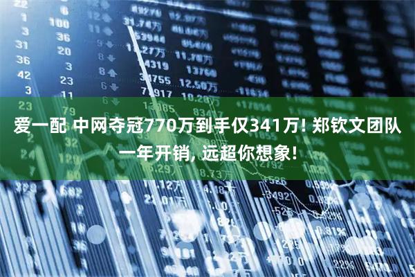 爱一配 中网夺冠770万到手仅341万! 郑钦文团队一年开销, 远超你想象!